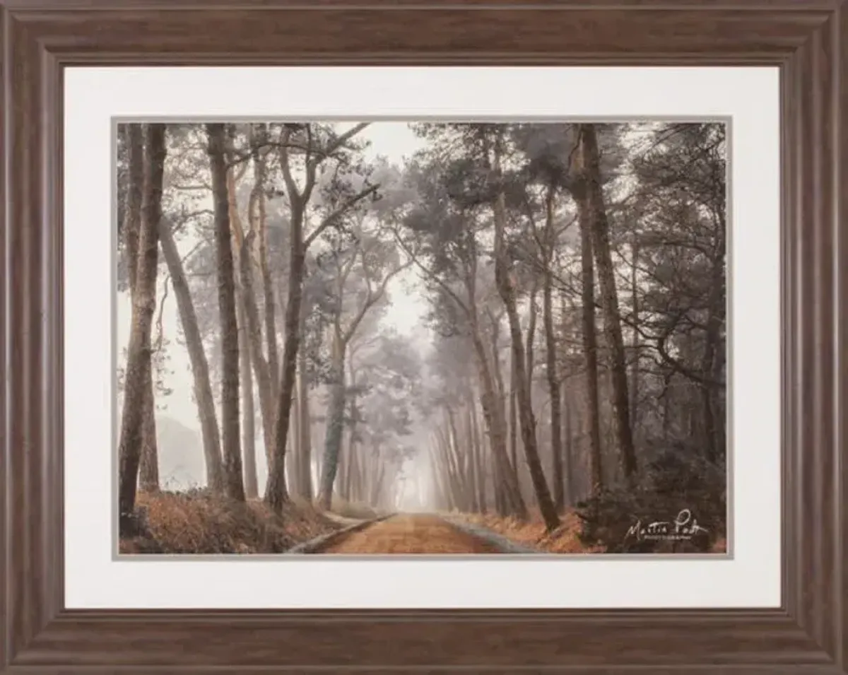 Path of Pines Framed Art