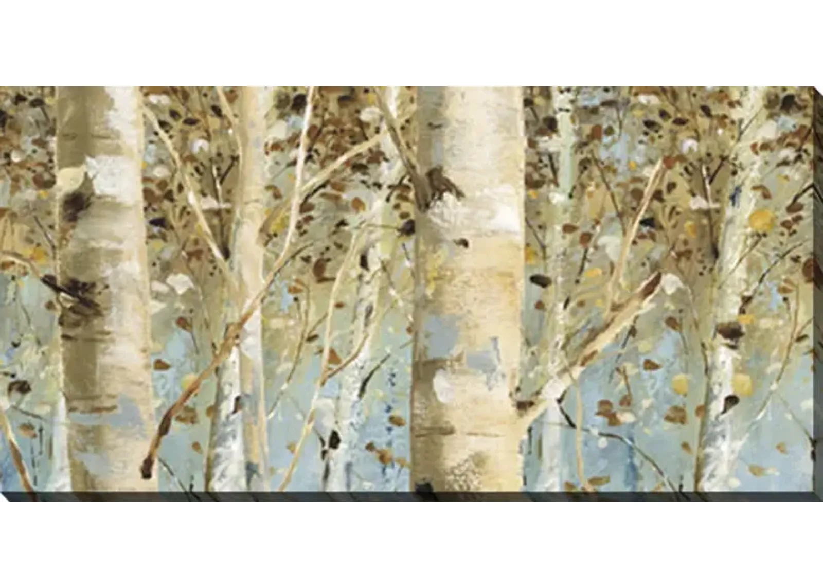 White Forest Canvas Art