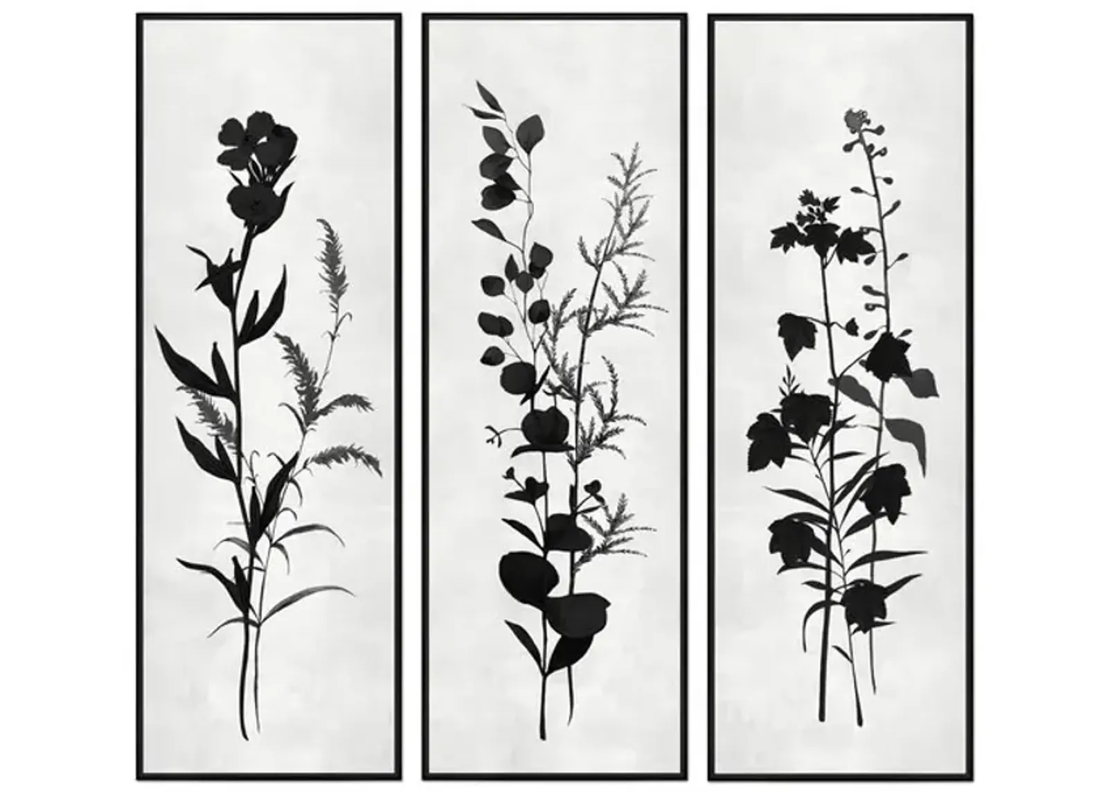 Botanical Trio Framed Art - Set of 3