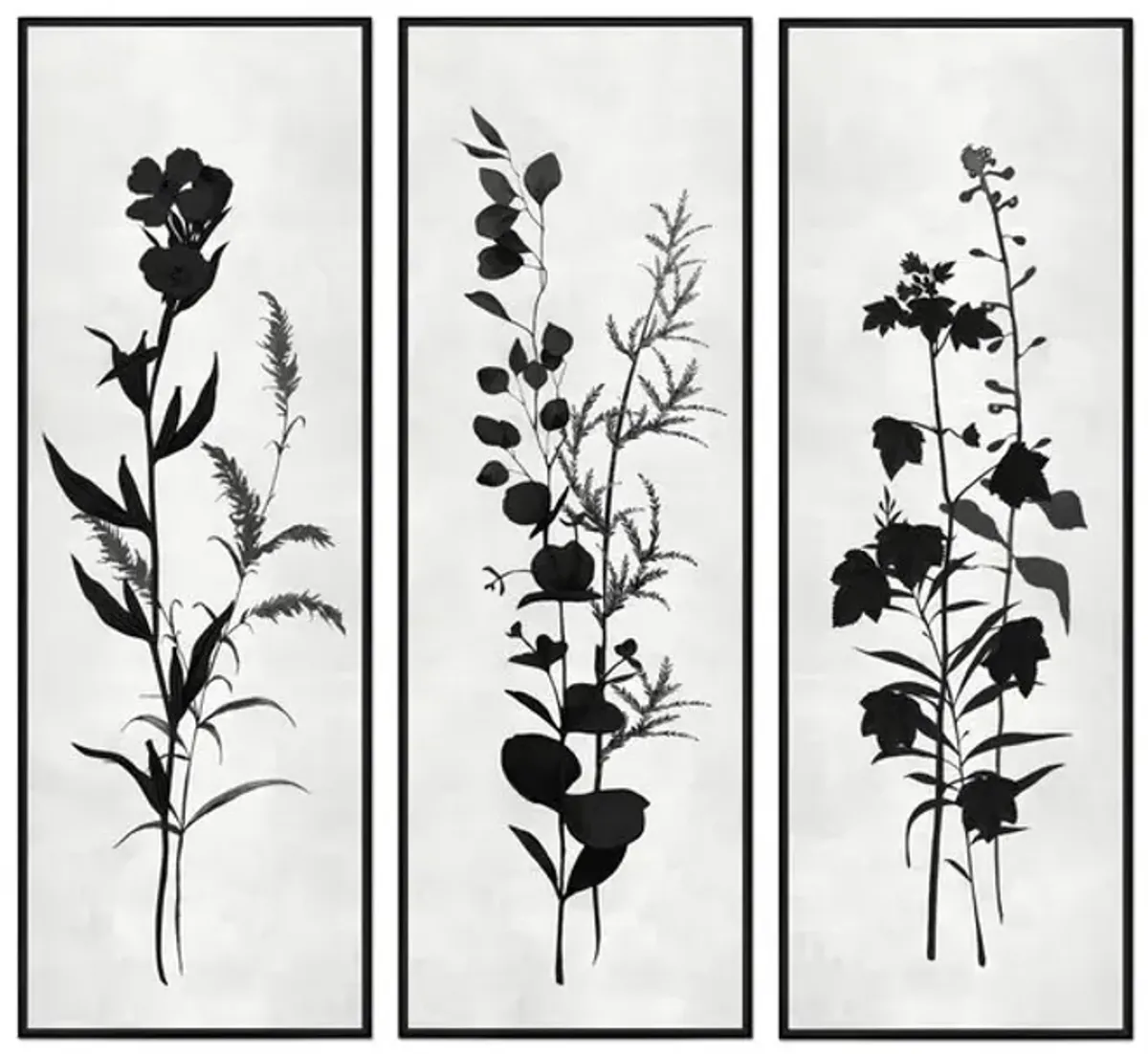 Botanical Trio Framed Art - Set of 3