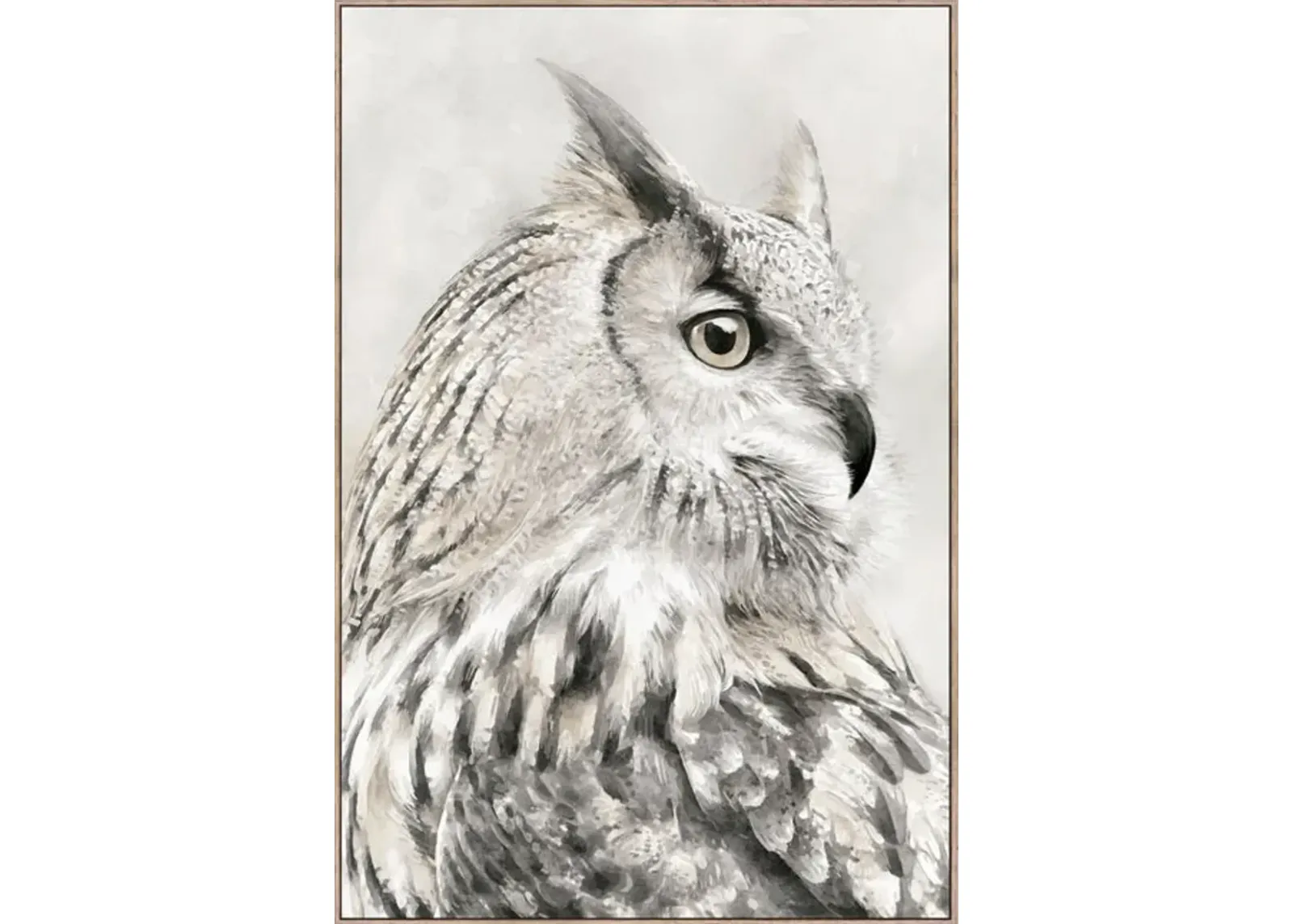 Otis The Owl Framed Canvas Art