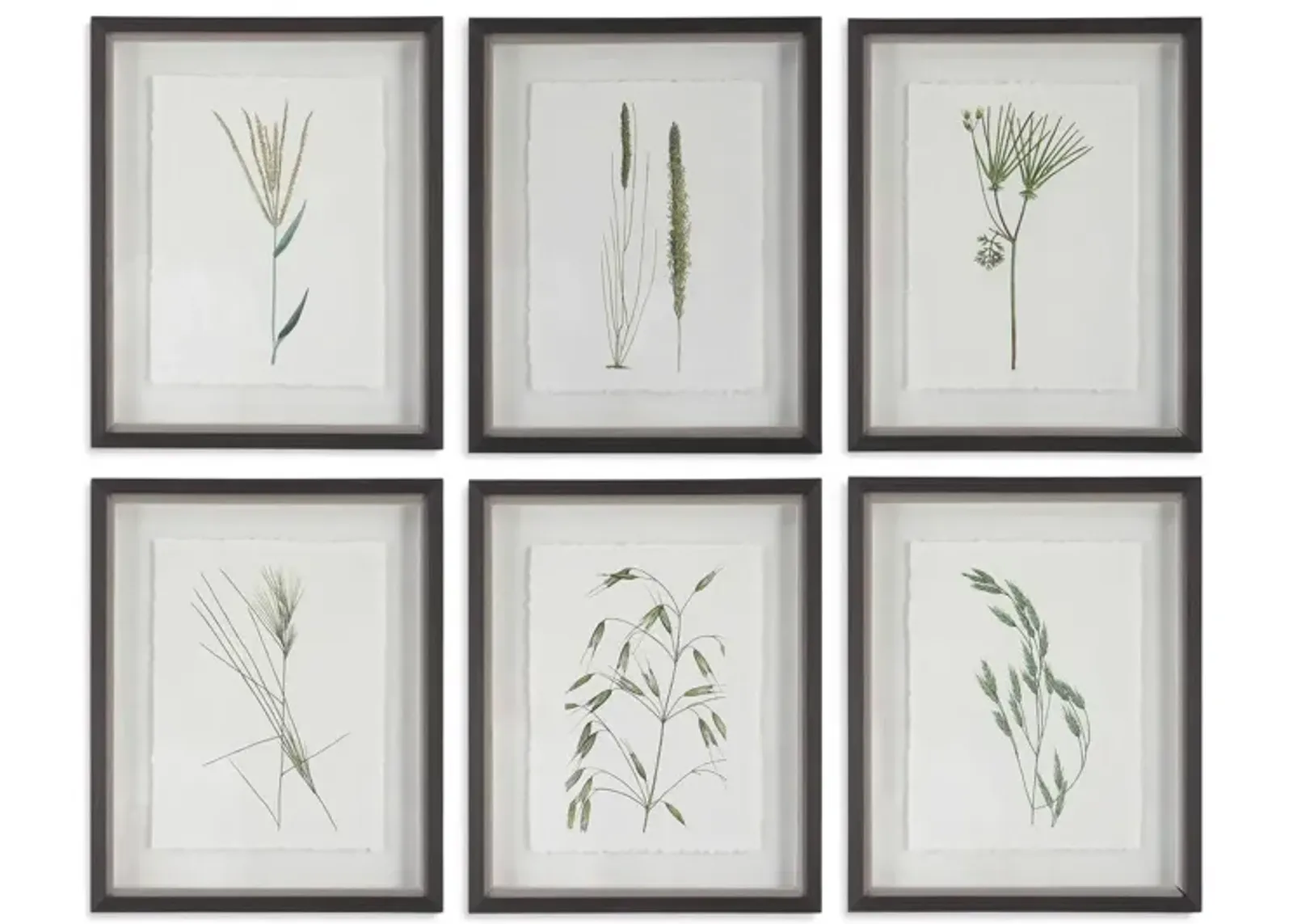 Forest Finds Framed Prints- Set of 6