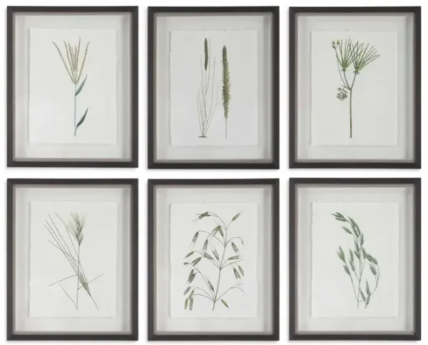 Forest Finds Framed Prints- Set of 6