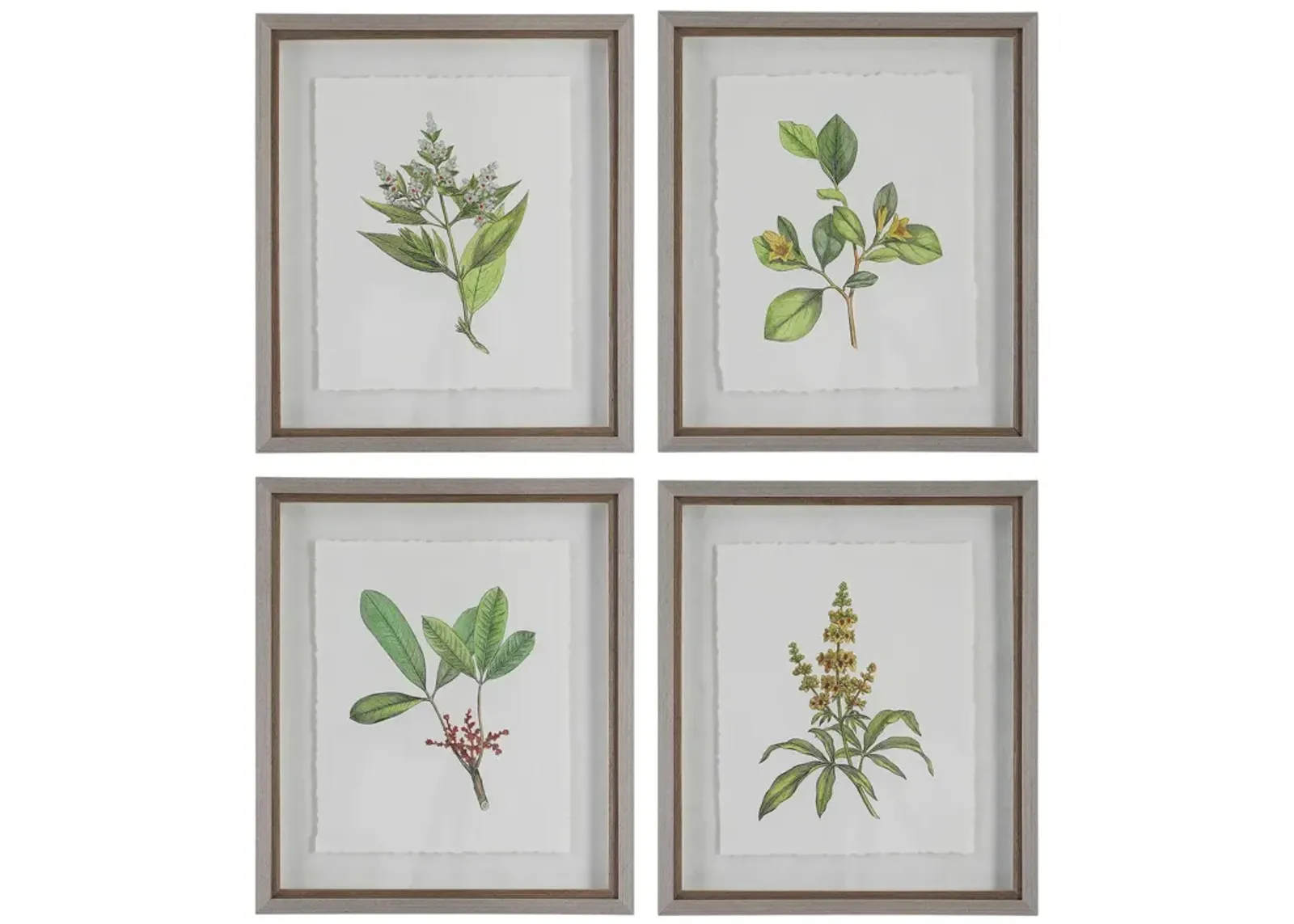 Set 4 Wildflowers Framed Prints