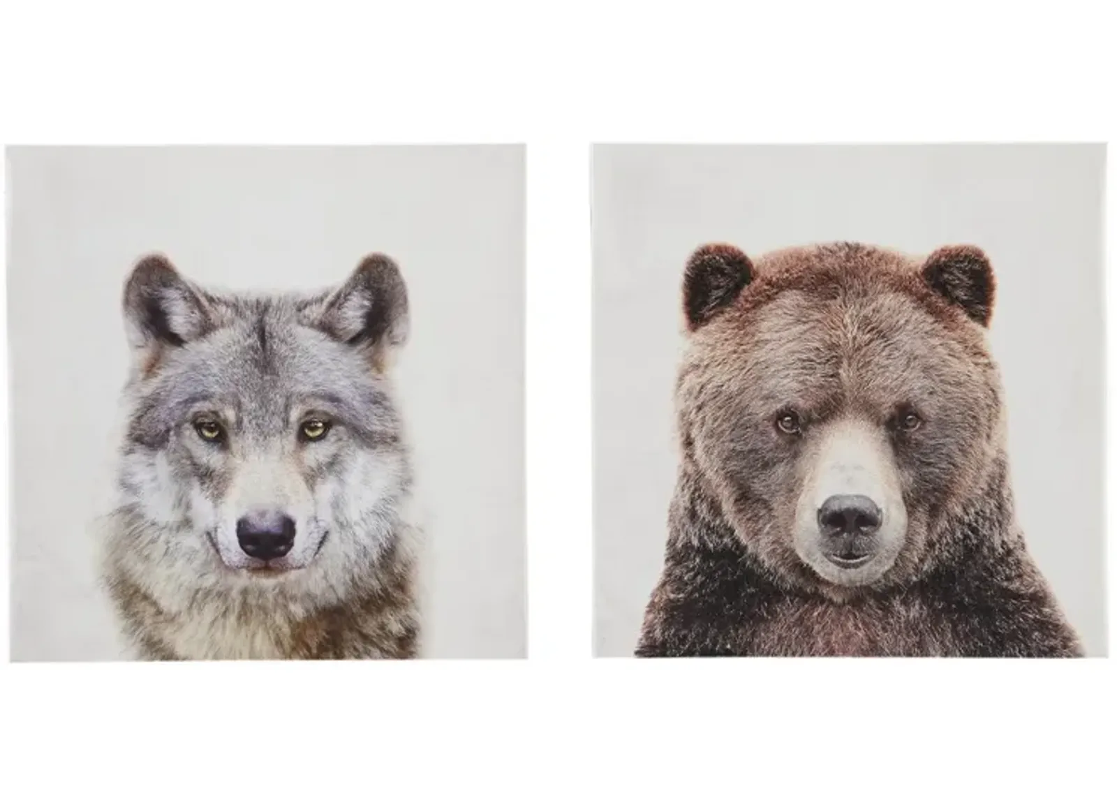 Set of Two Wolf Bear Canvas Art