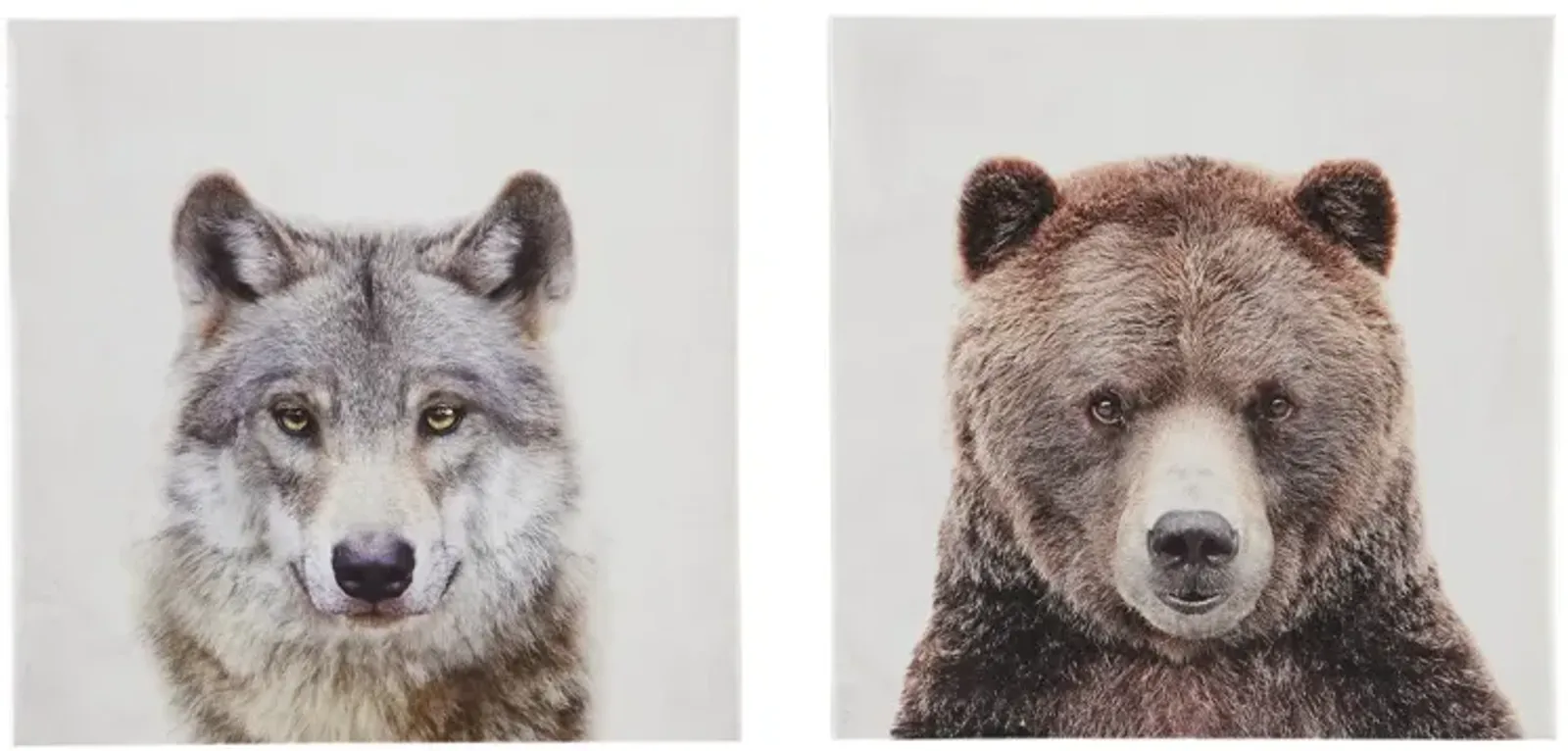 Set of Two Wolf Bear Canvas Art