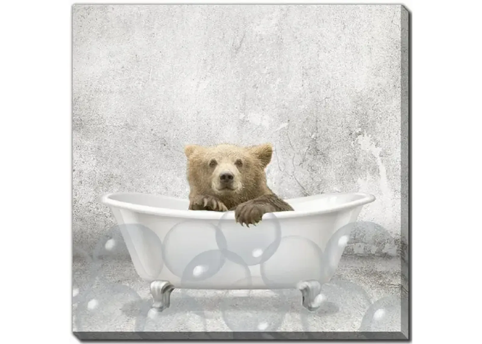 Baby Bear Bath Canvas Art