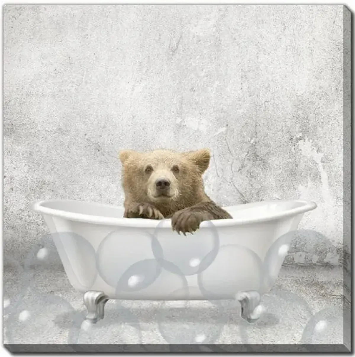 Baby Bear Bath Canvas Art