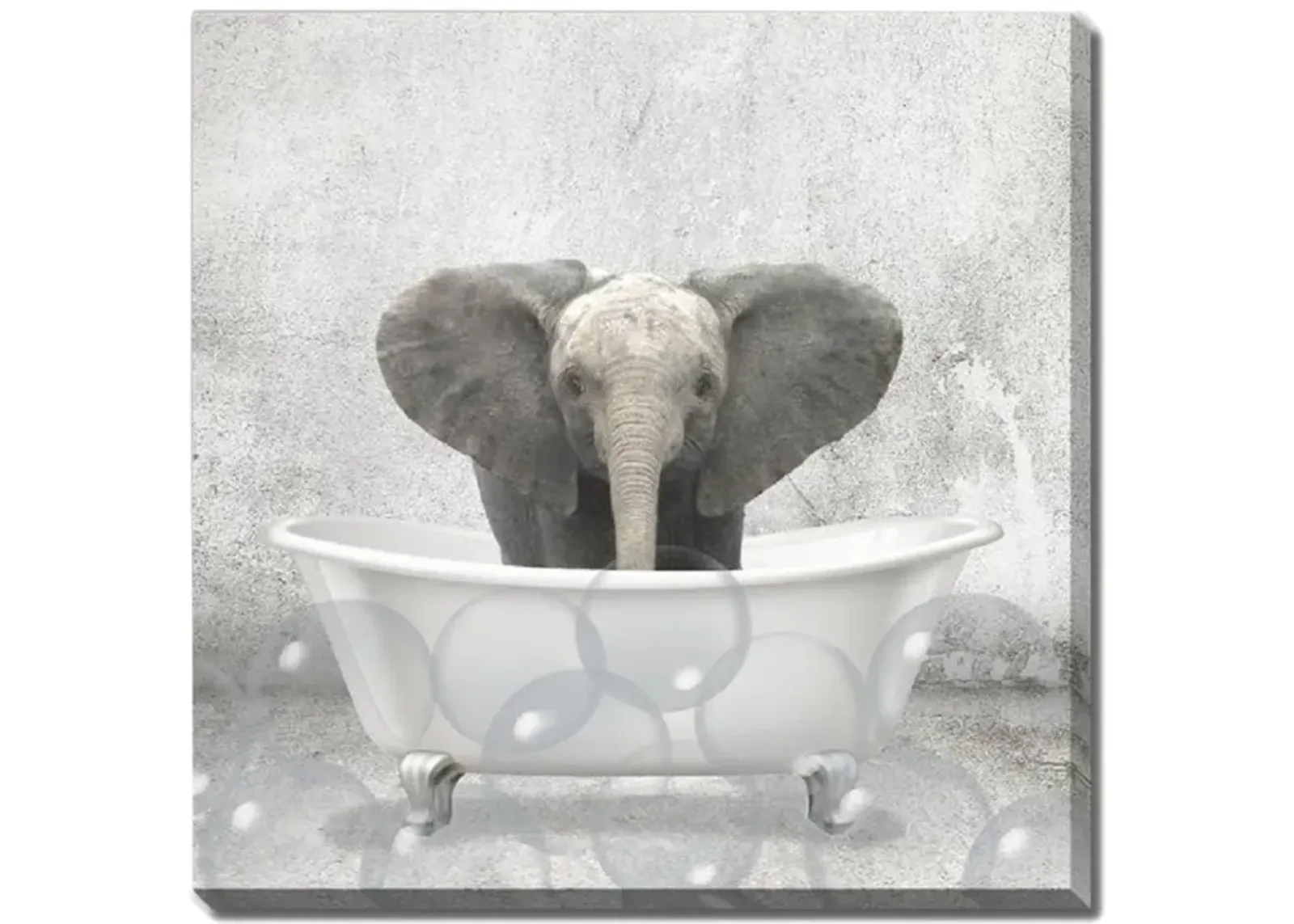 Baby Elephant Bath Canvas Art