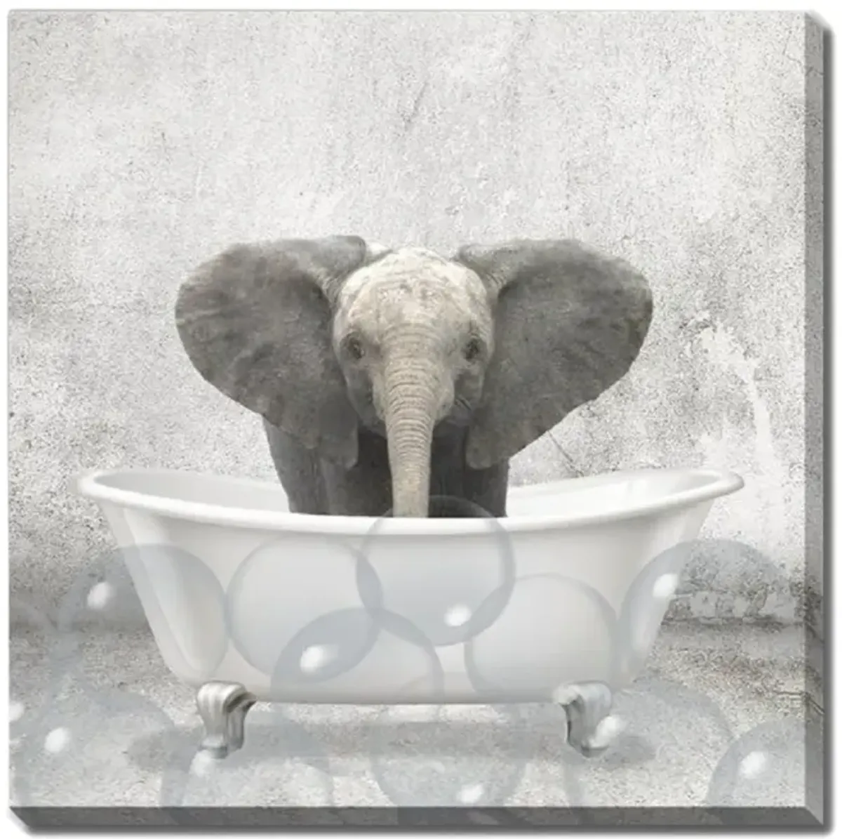 Baby Elephant Bath Canvas Art