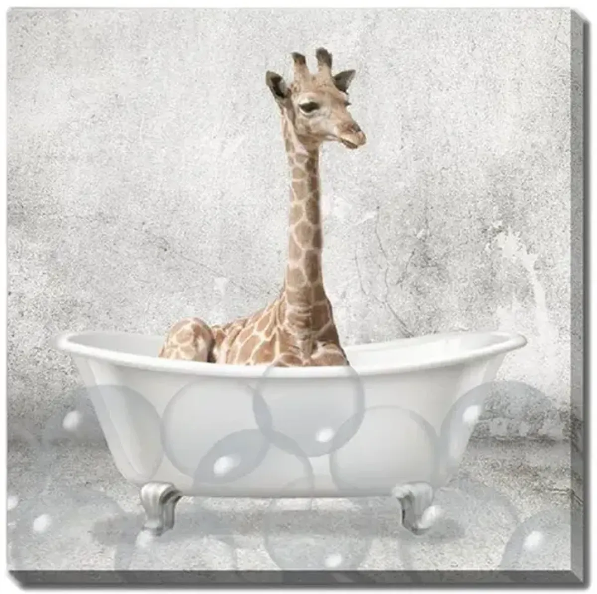 Baby Giraffe Bath Canvas Art