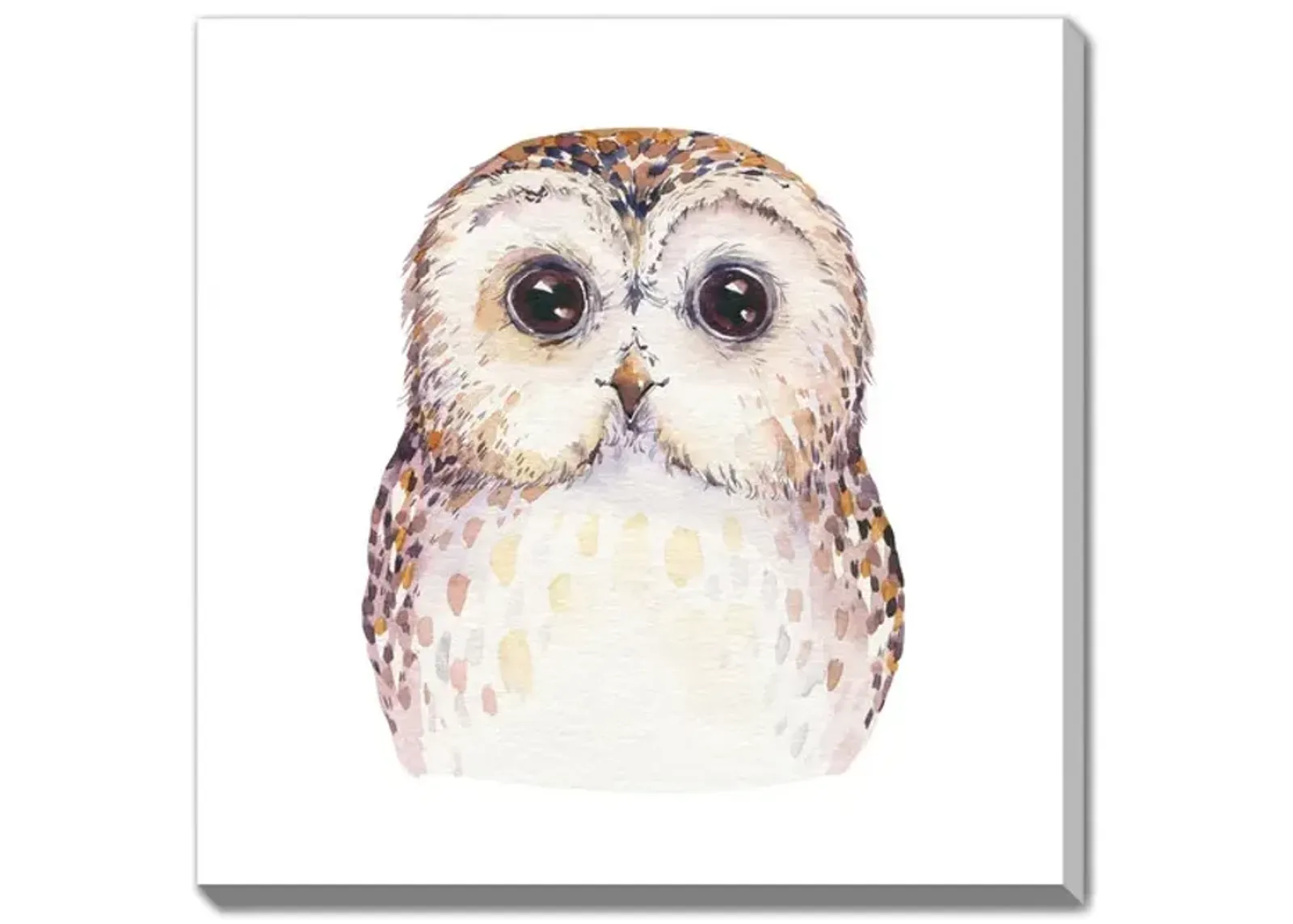 Oscar Owl Canvas Art