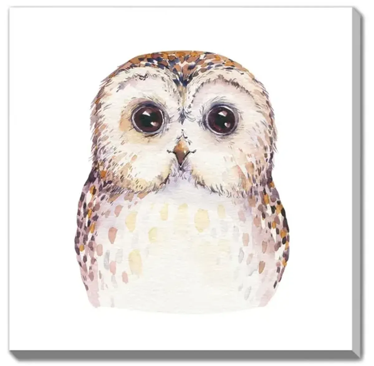 Oscar Owl Canvas Art