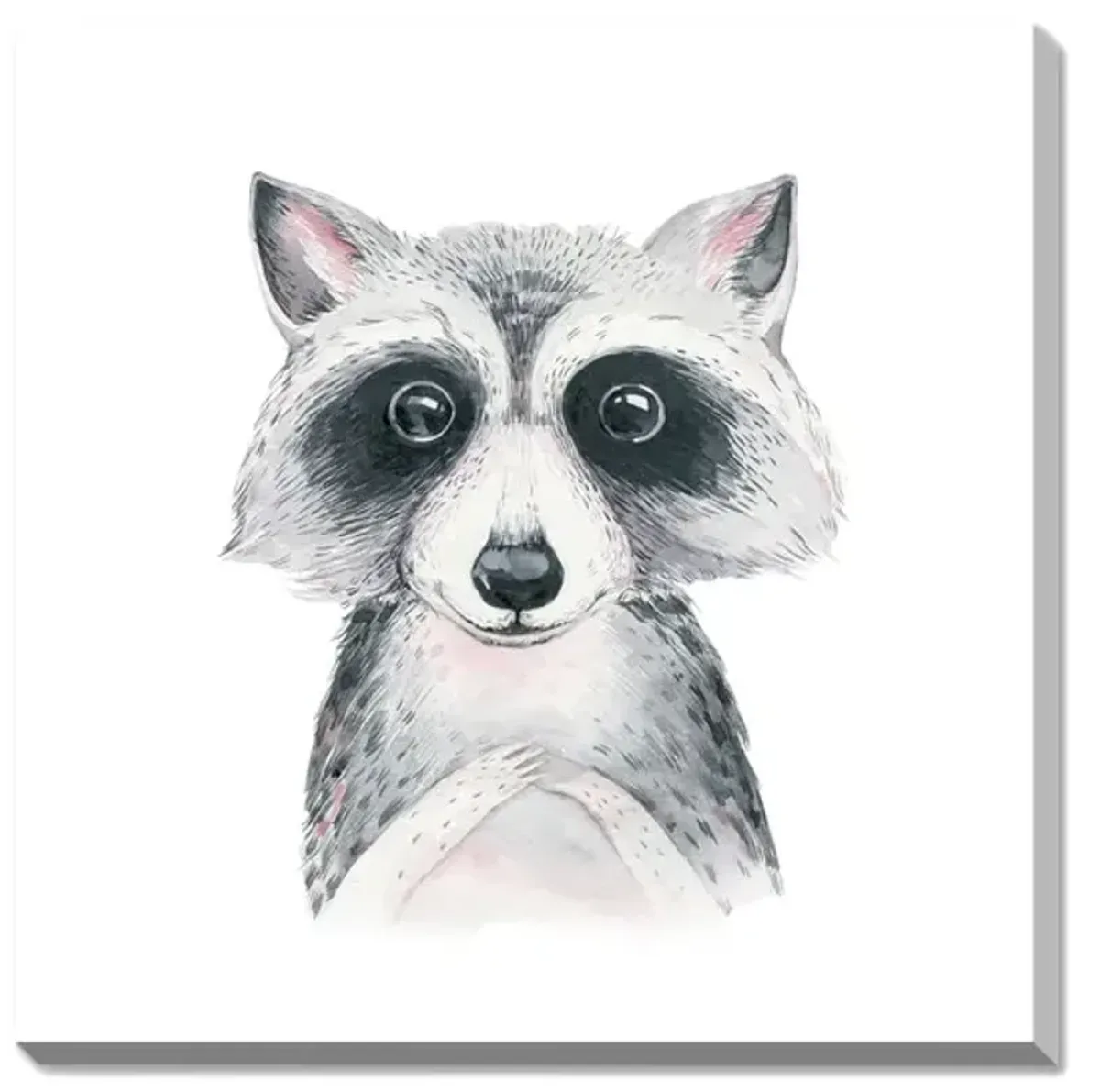 Remi Racoon Canvas Art