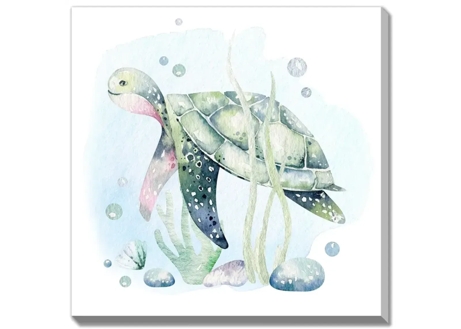 Tina Turtle Canvas Art