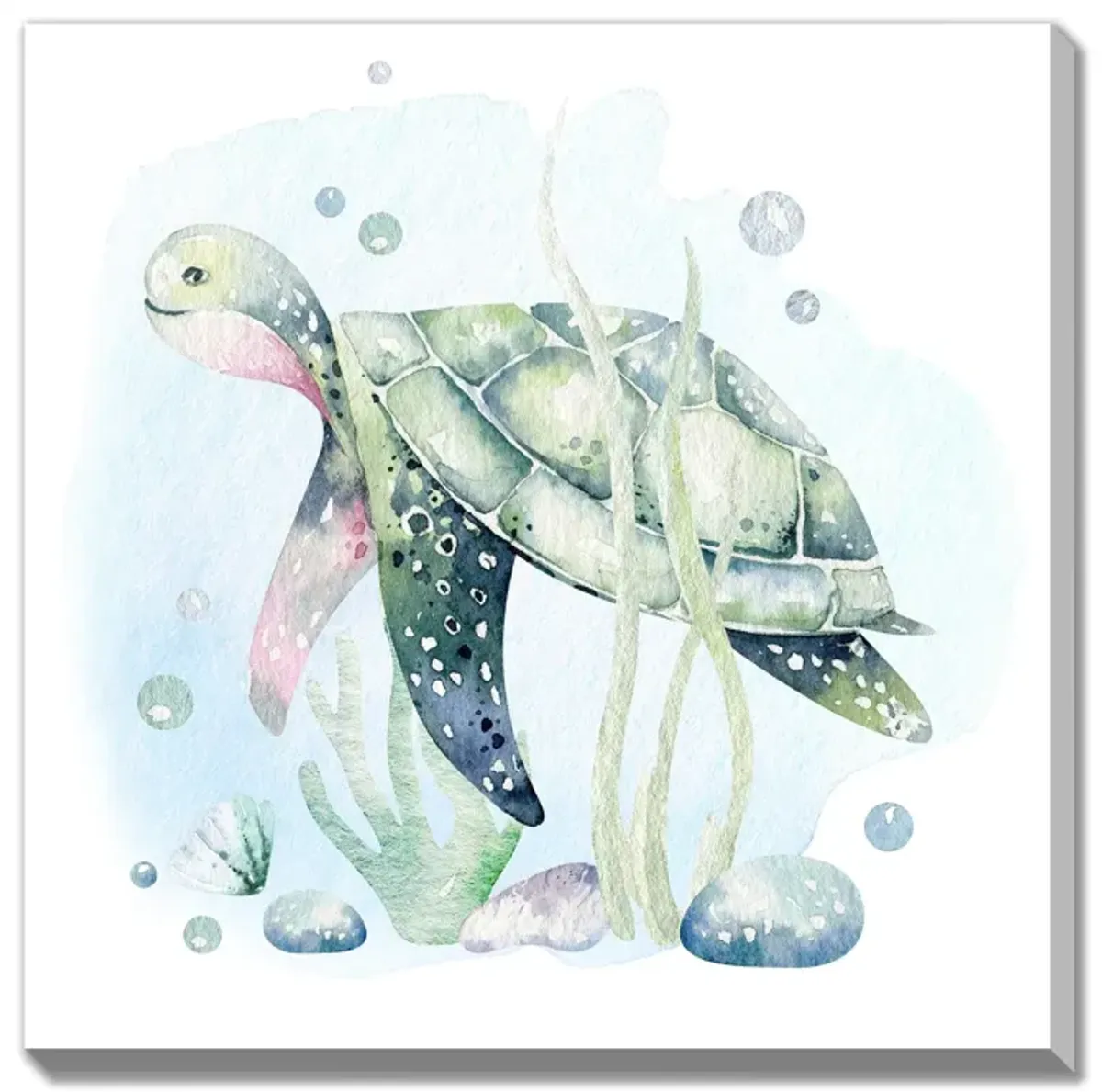 Tina Turtle Canvas Art