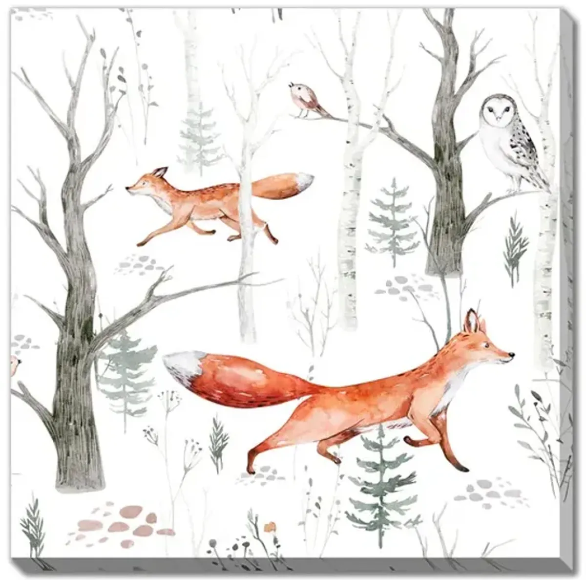 Woods Fox Canvas Print