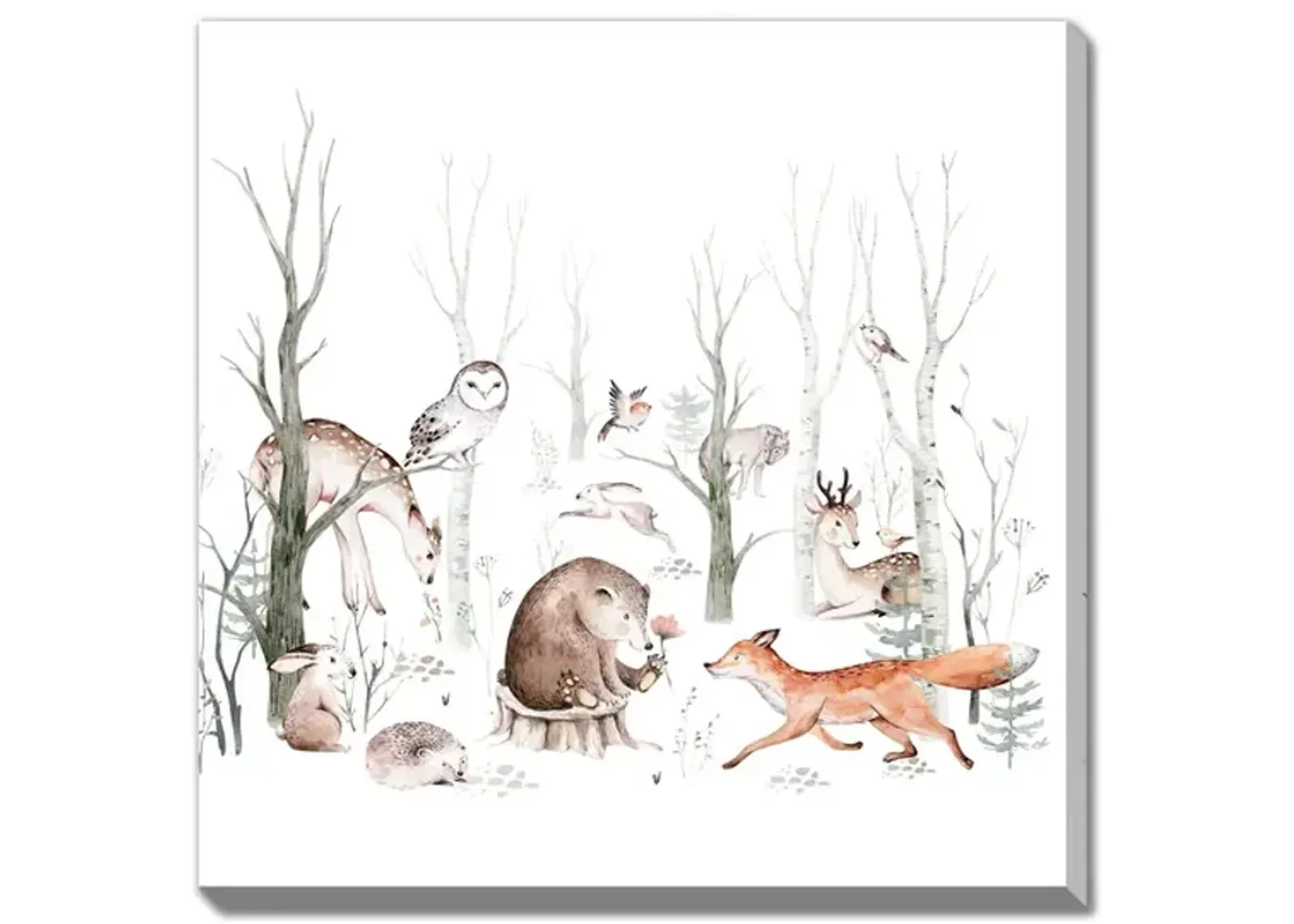 Woodland Animals Canvas Print