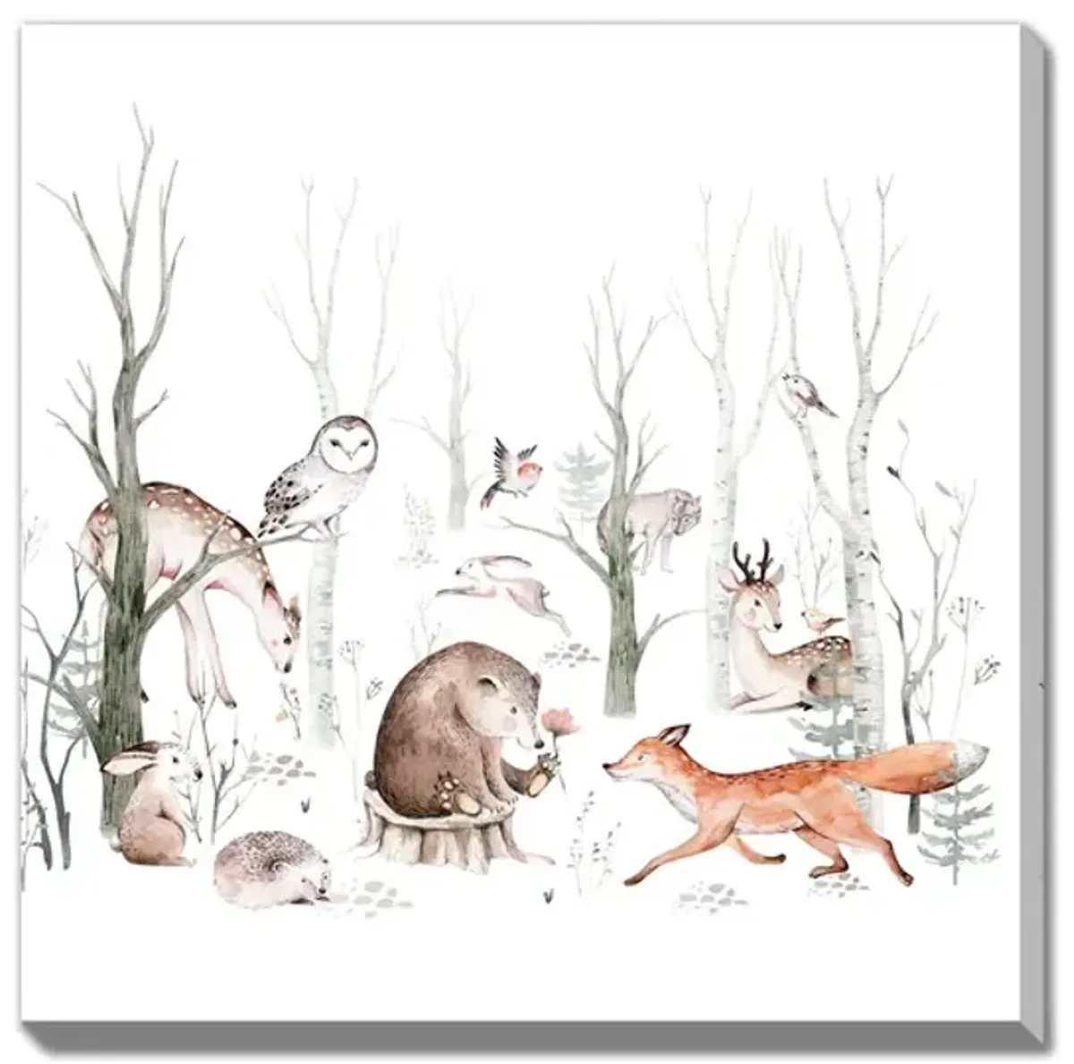 Woodland Animals Canvas Print