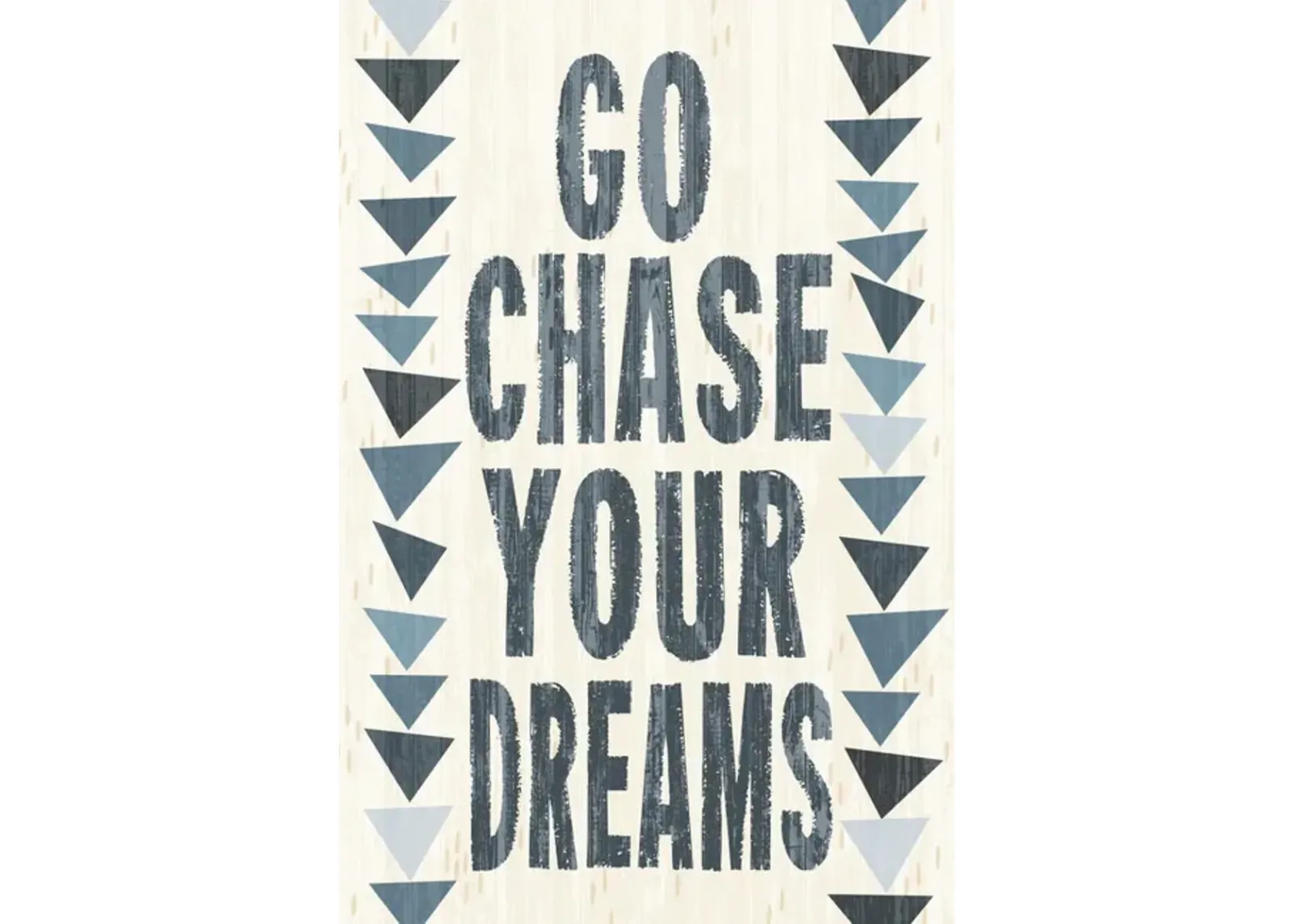 Go Chase Your Dreams Canvas Art