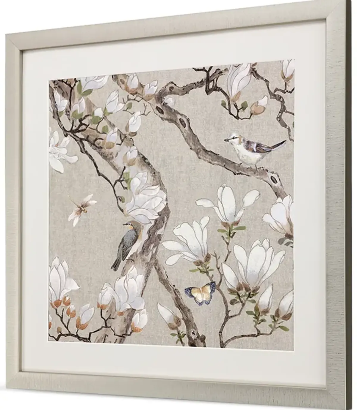 Magnolia Blossom Framed Print