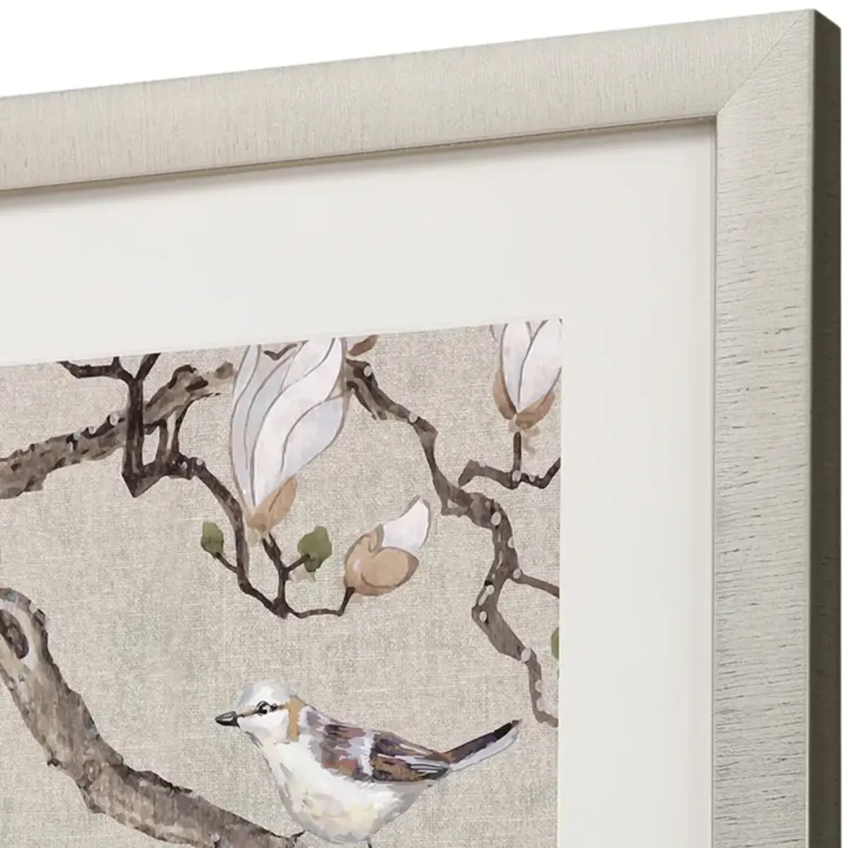 Magnolia Blossom Framed Print