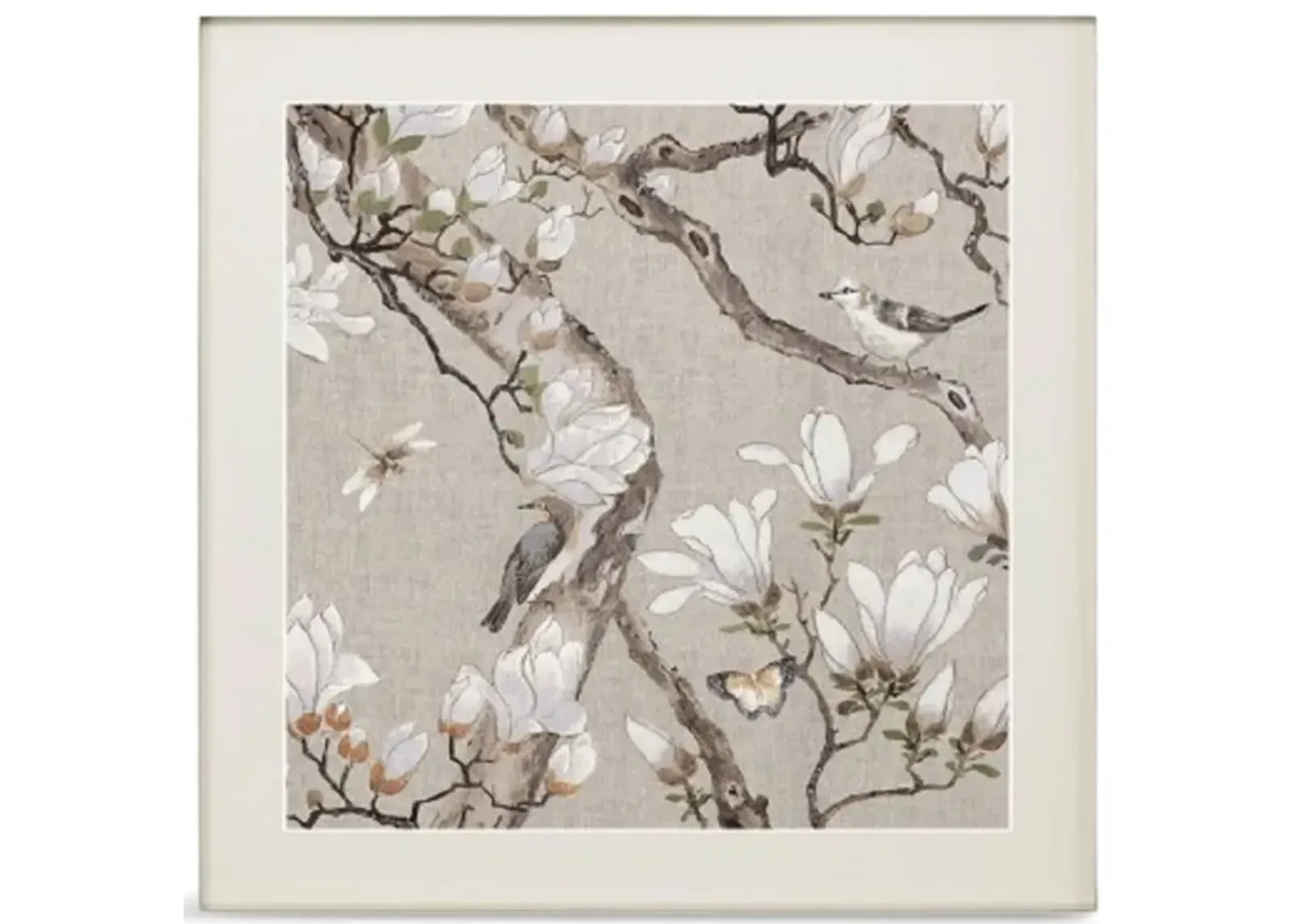 Magnolia Blossom Framed Print