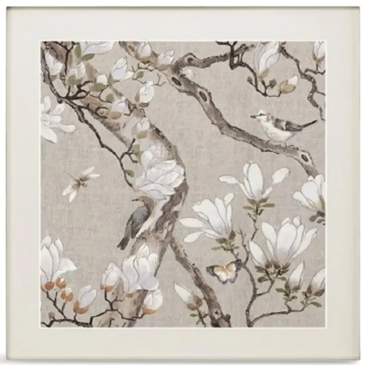 Magnolia Blossom Framed Print