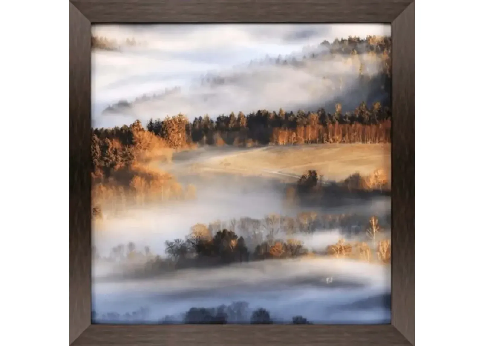 Reverie At Dawn Framed Photograph