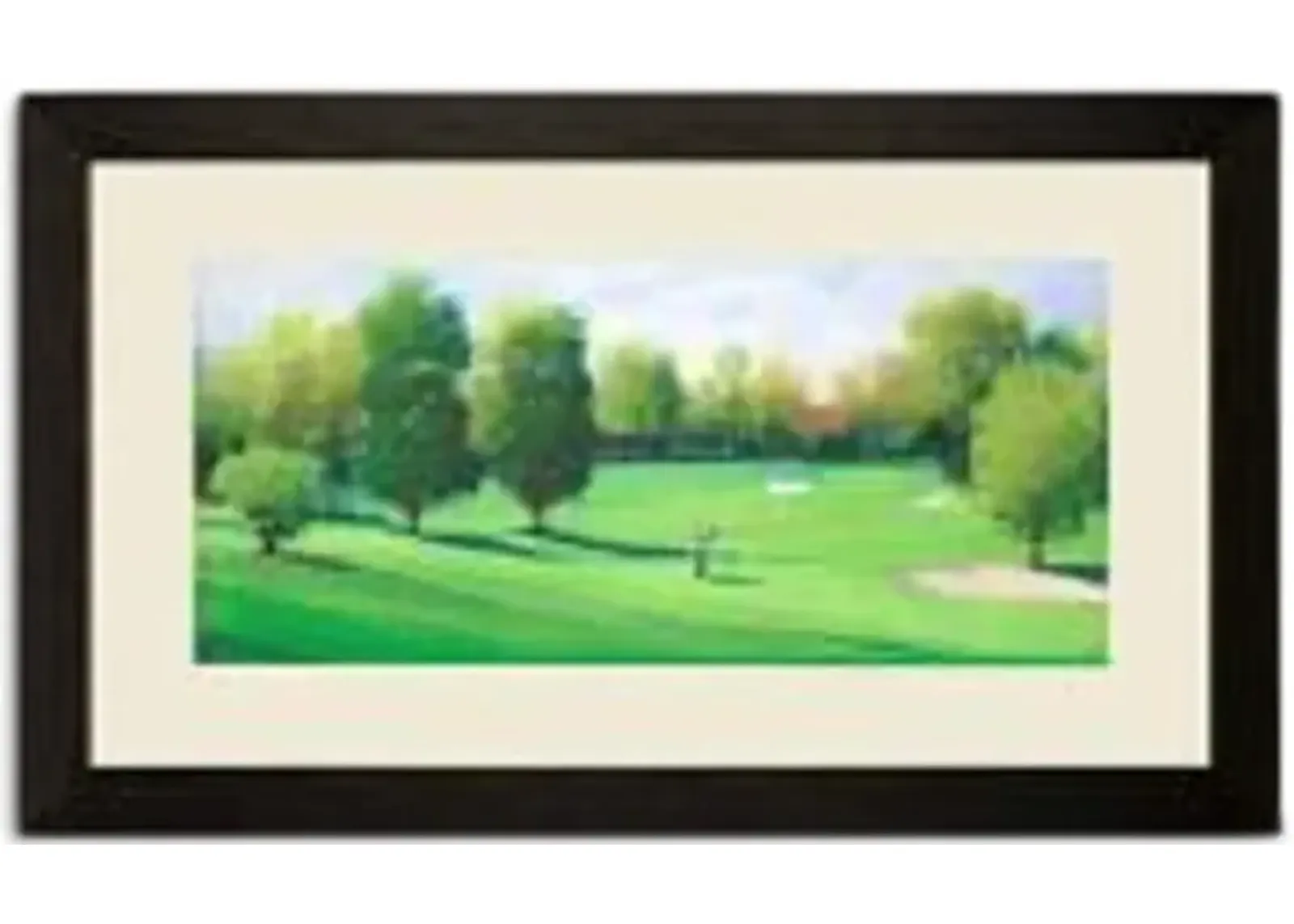 Fairway Shot I Framed Art