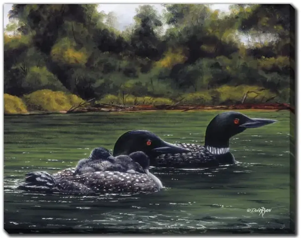 Loon Lit Night Canvas Art