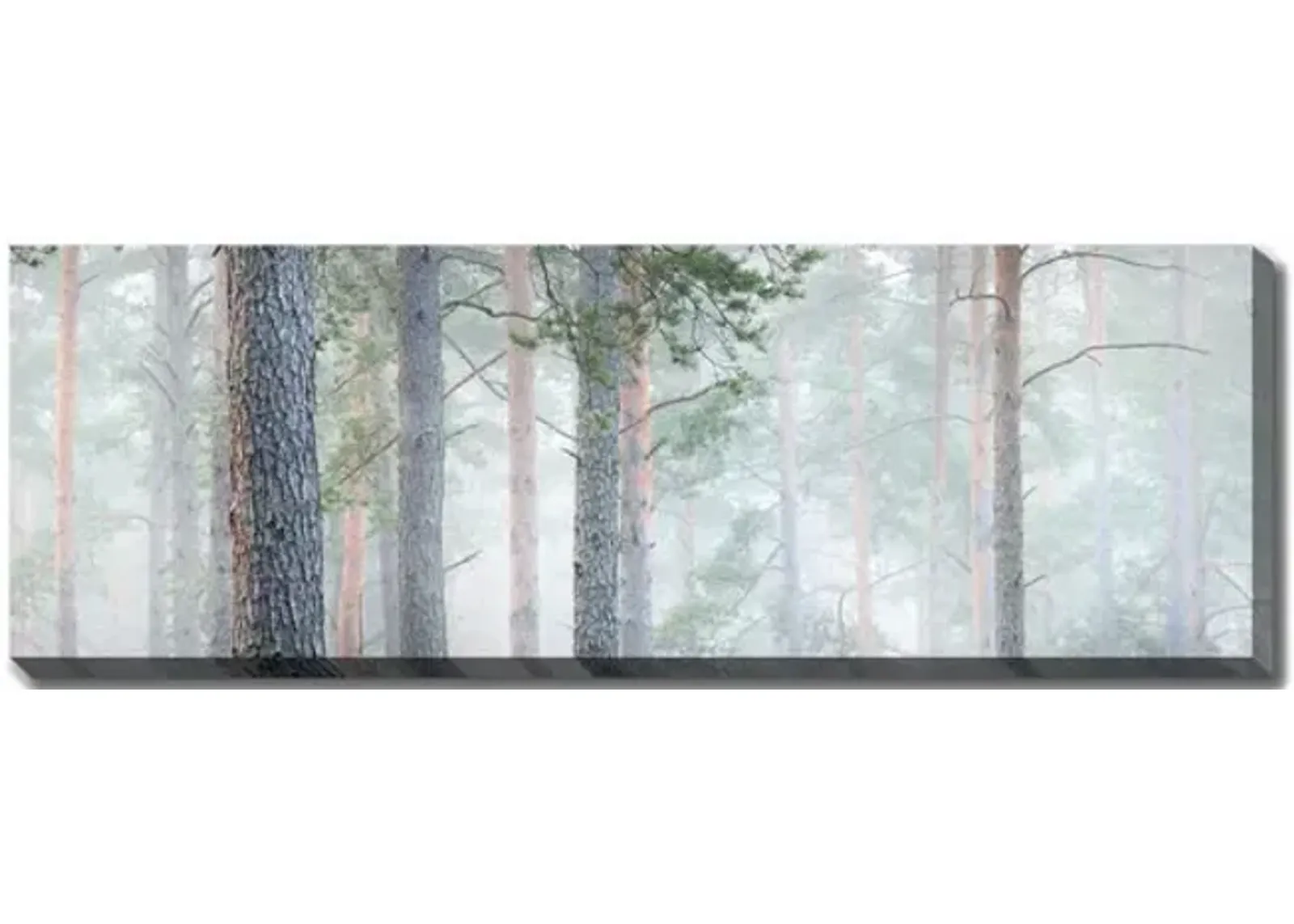 Mysterious Forest Canvas Art