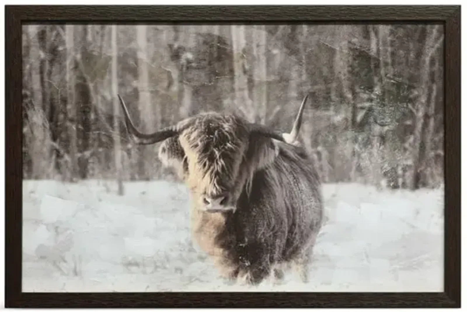 Snowy Highland Framed Canvas Art