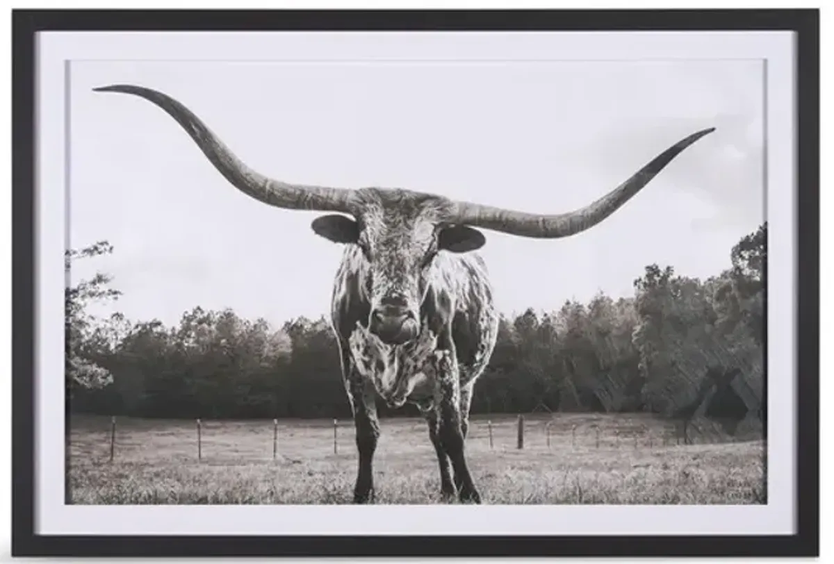 Longhorn Last Call Framed Art