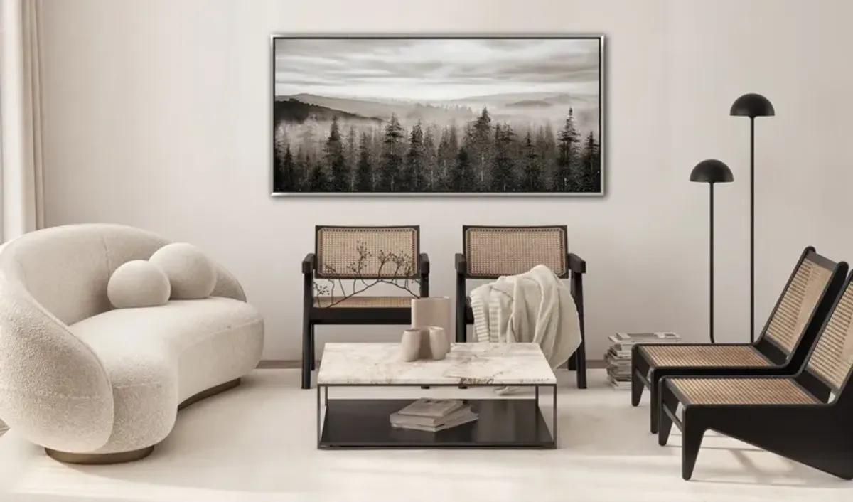 Fog Mountain Pines Framed Art