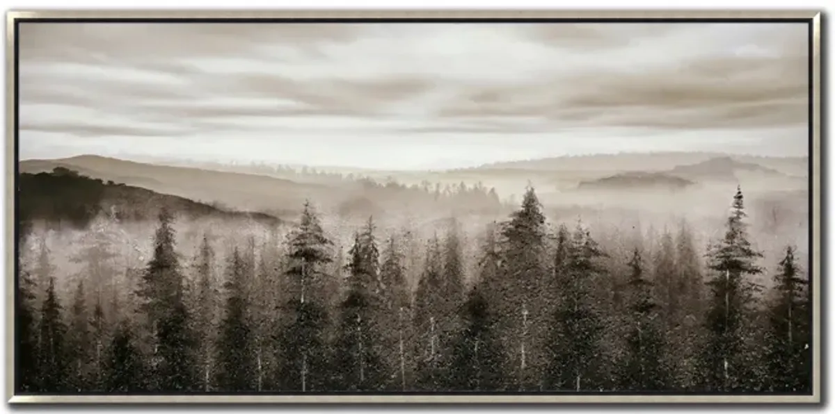 Fog Mountain Pines Framed Art