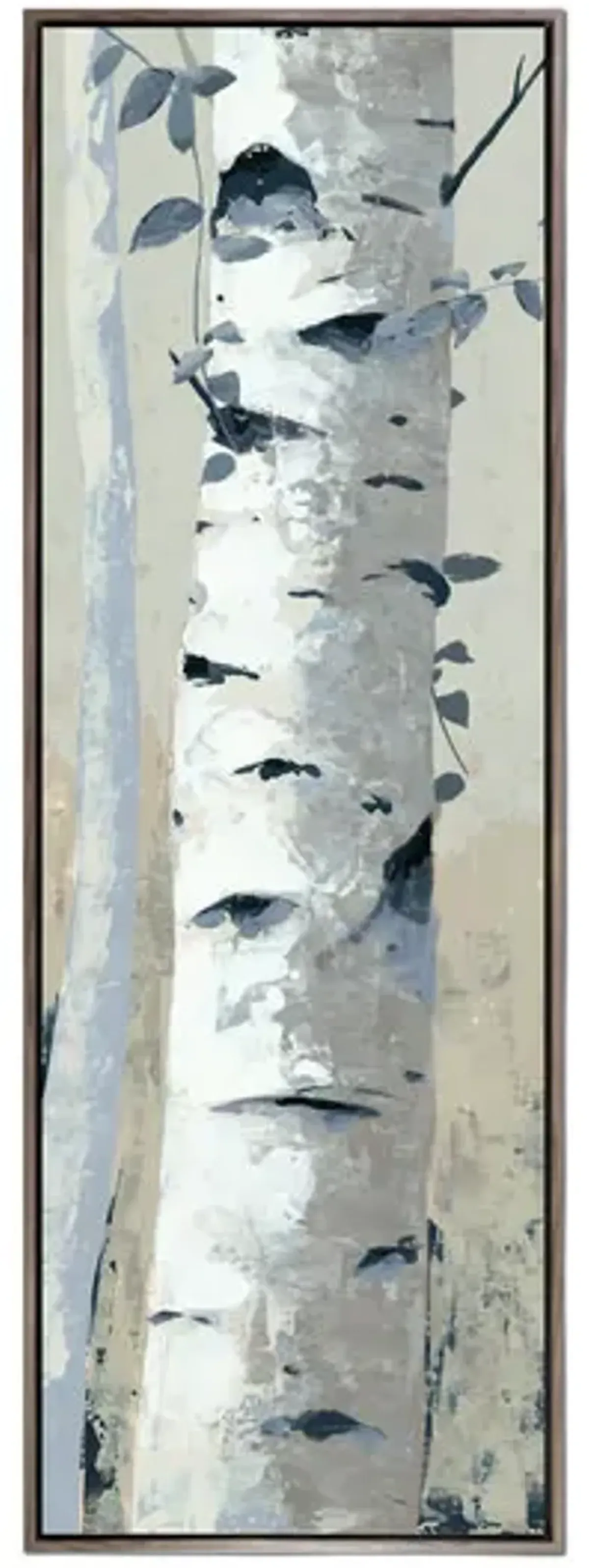 Aspen Birch 2 Canvas Art