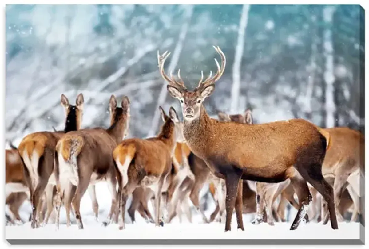 Noble Deer With Herd Canvas Art