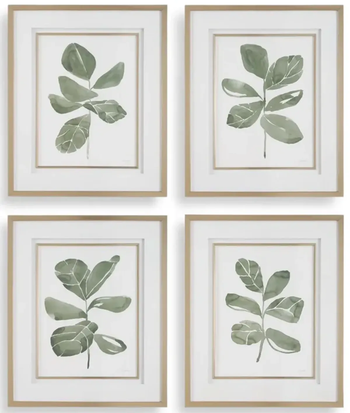 Fiddle Head Leaf Framed Art Set Of 4