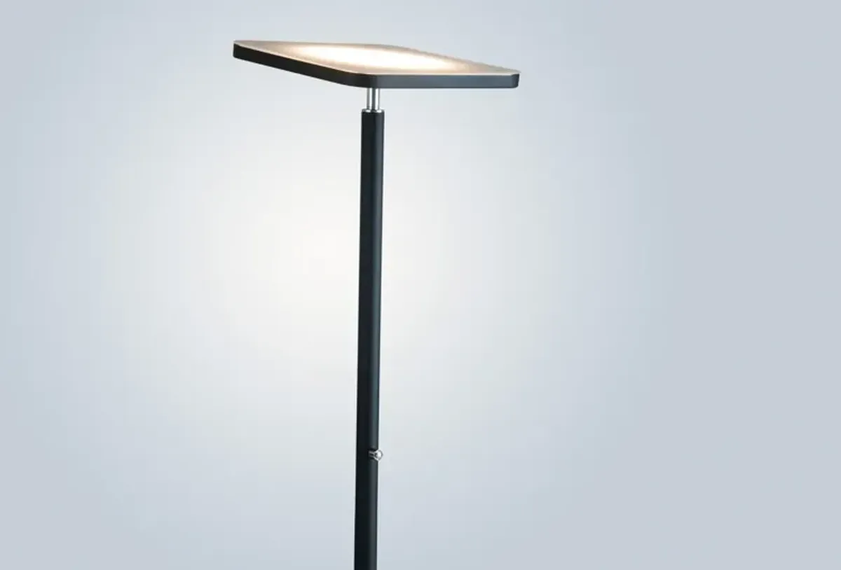 Hector Floor Lamp - Black