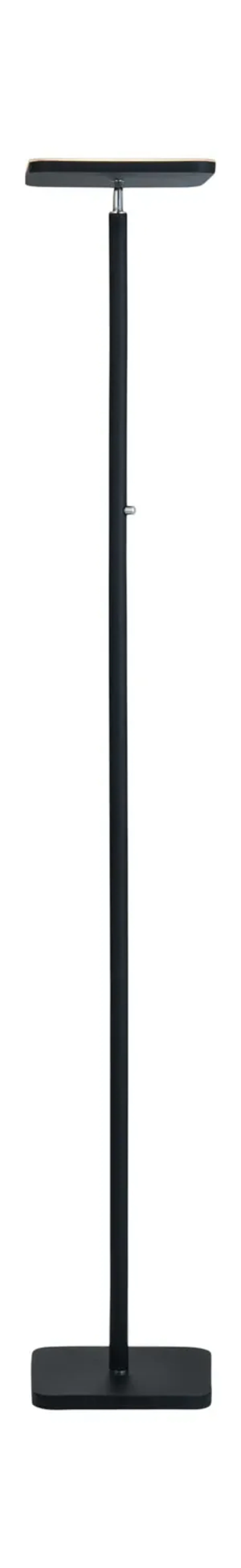 Hector Floor Lamp - Black