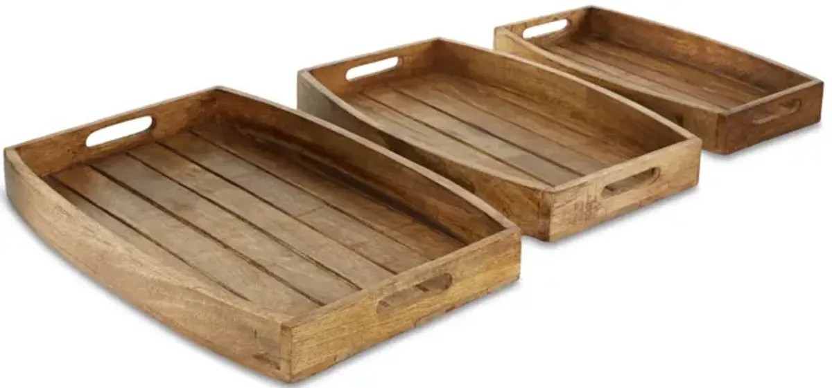 Set of 3 Mango Trays