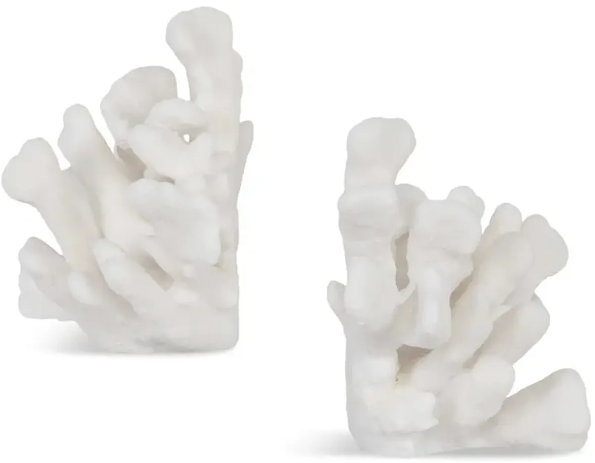 Charbel Bookends Set of 2