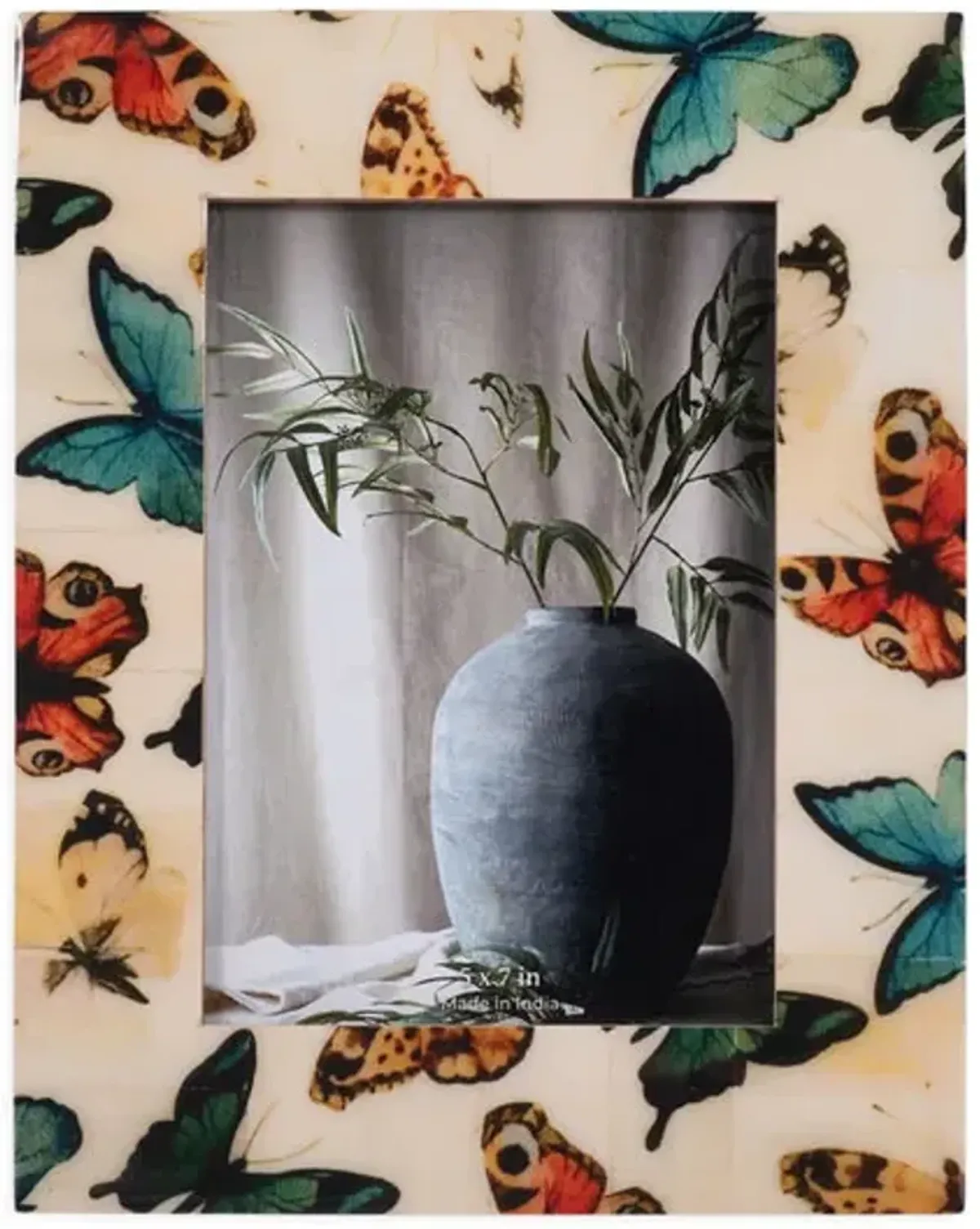 5  X 7  Butterflies Frame