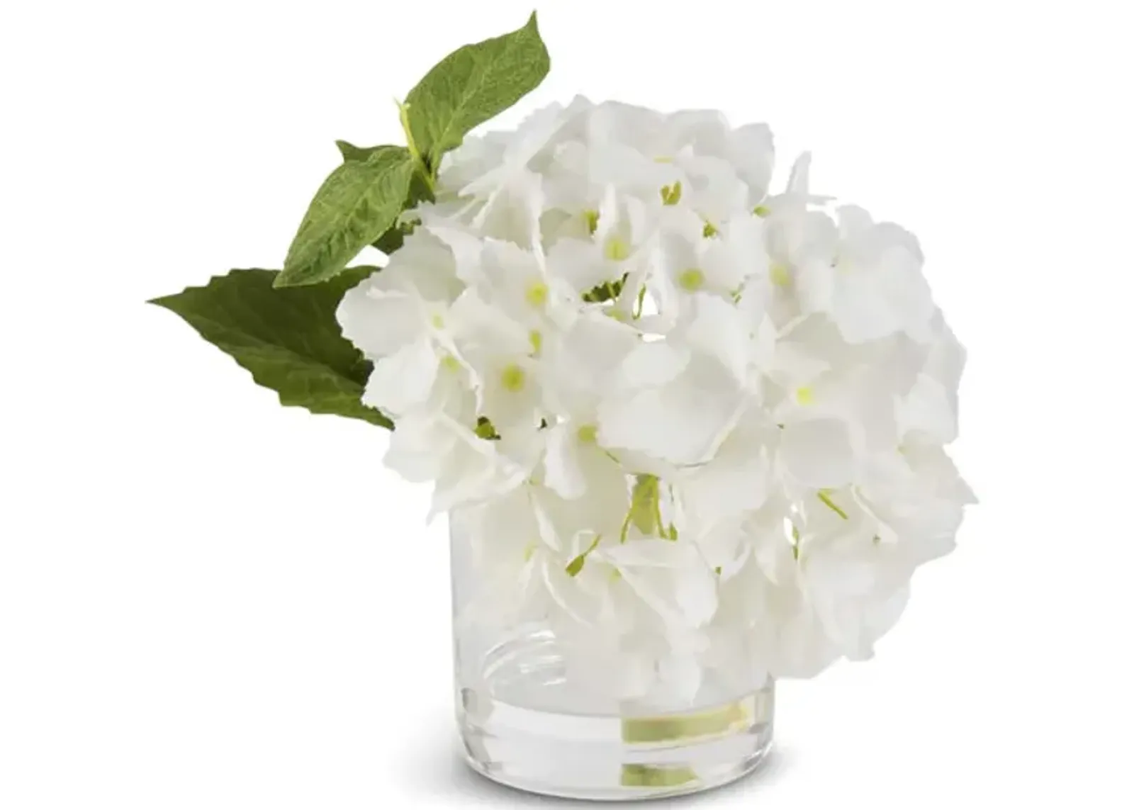 Hydrangea In Glass Vase - White