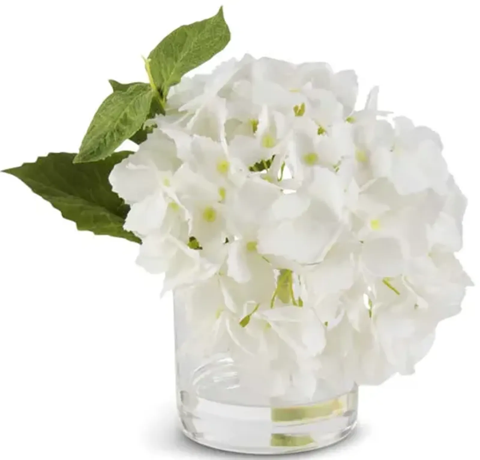 Hydrangea In Glass Vase - White