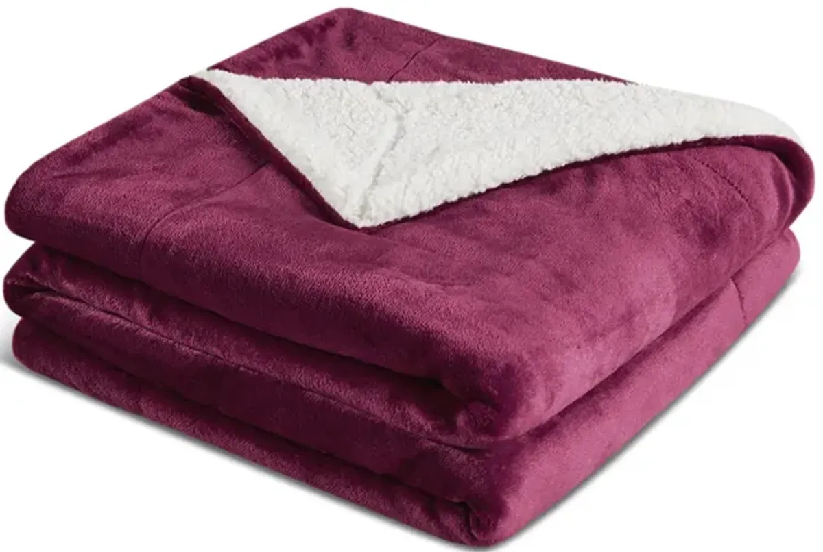 Burgundy Sherpa Throw