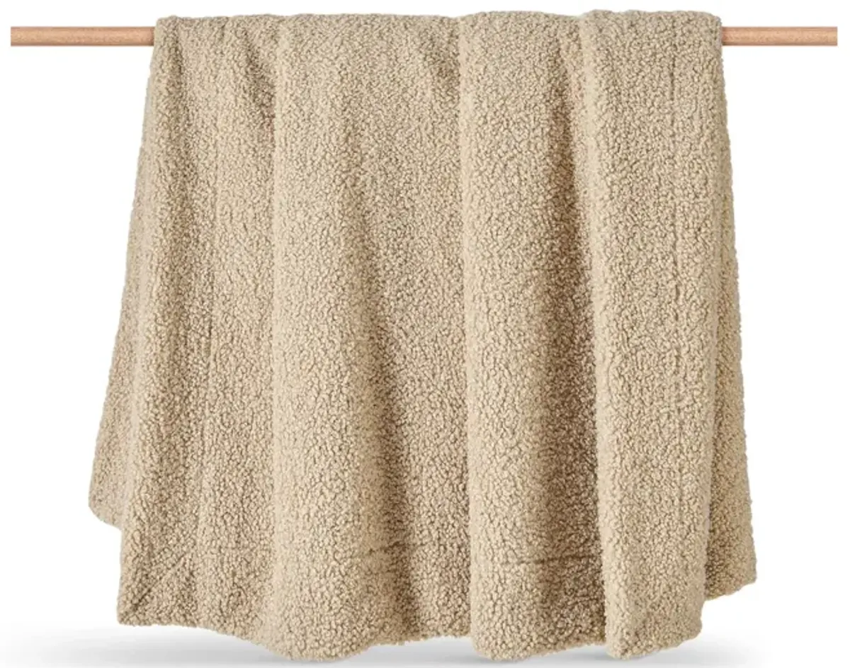 Teddy Throw Blanket - Cream