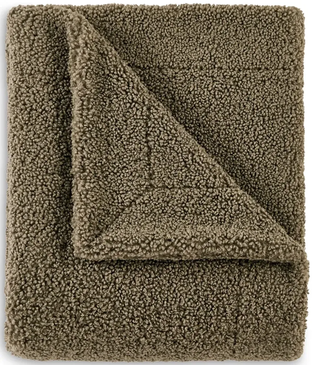 Teddy Throw Blanket