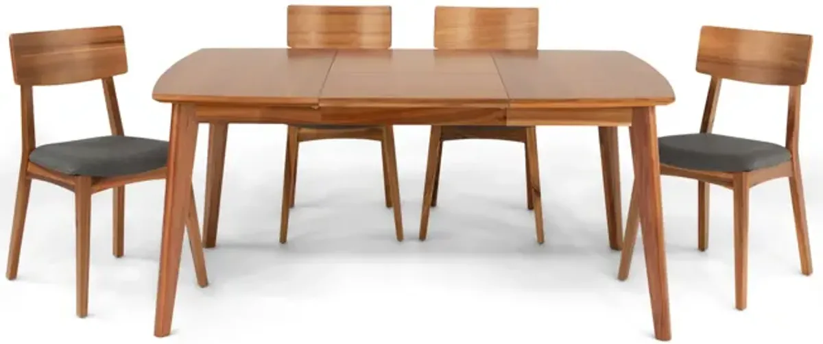 Tyler Modern Dining Table With 4 Wood Back Chairs